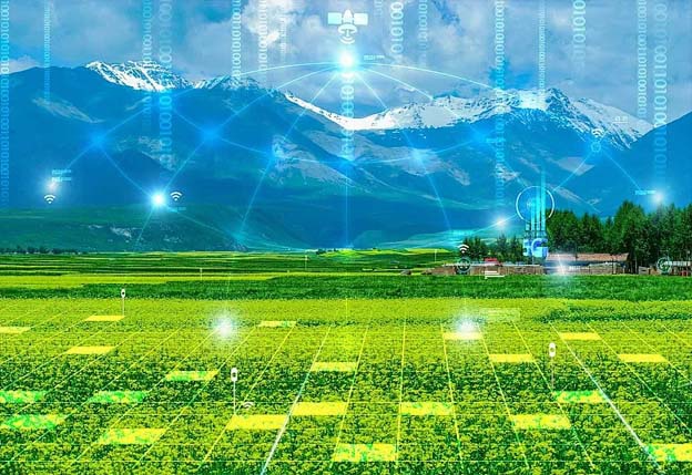 ZONEWU führt intelligentes Landwirtschafts-LoRaWAN ein