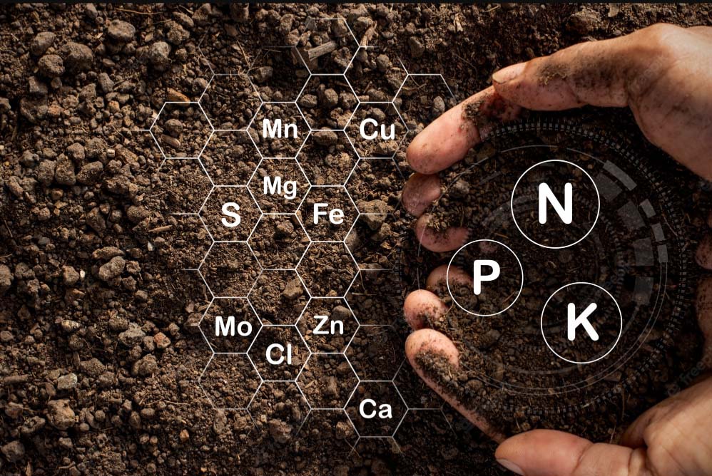 Bodensensor: Der Held hinter der intelligenten Landwirtschaft